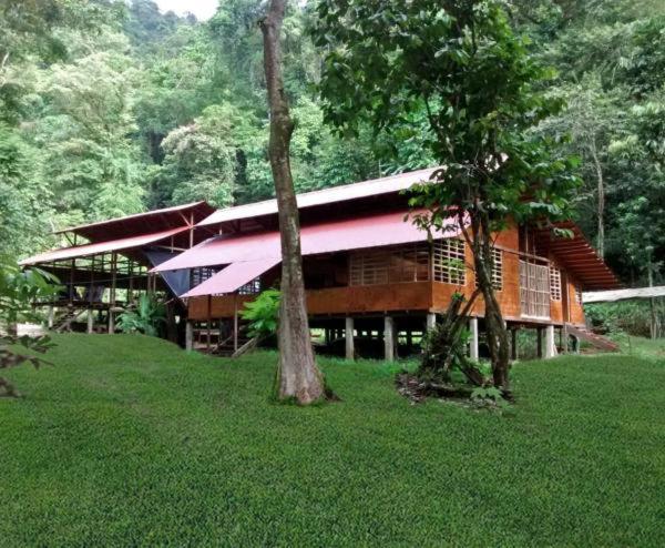 Safio. Una Casa En El Paraiso. Nuquí Екстериор снимка